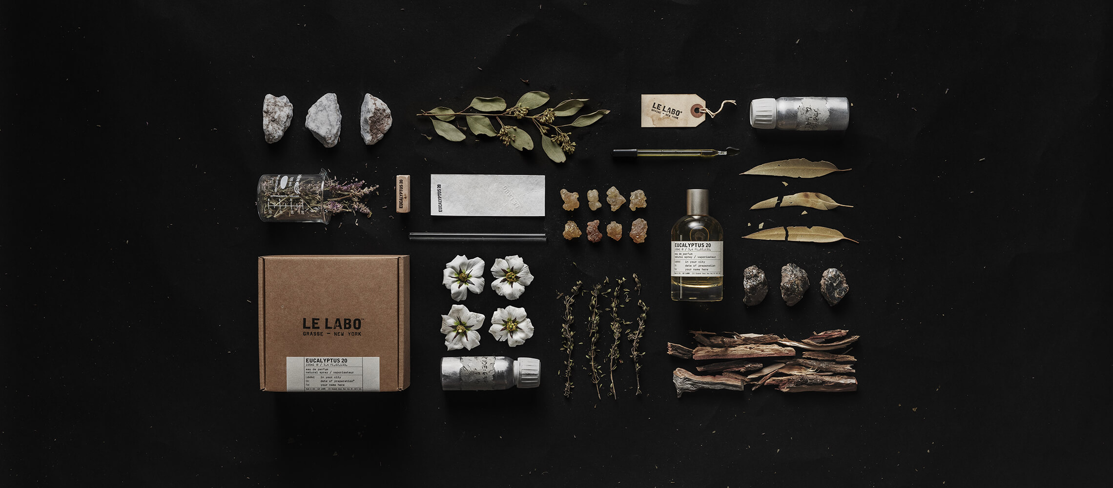 桉樹 20|eucalyptus 20